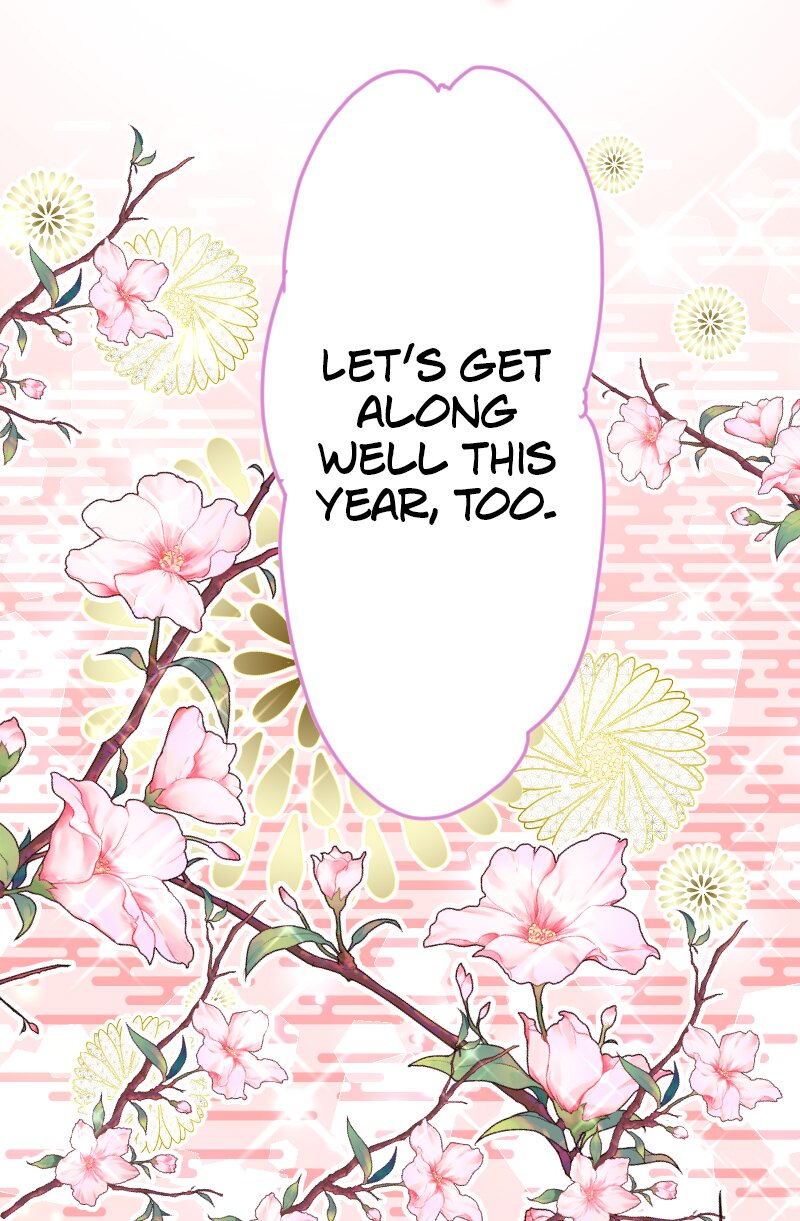 66117297 800 1221 207861